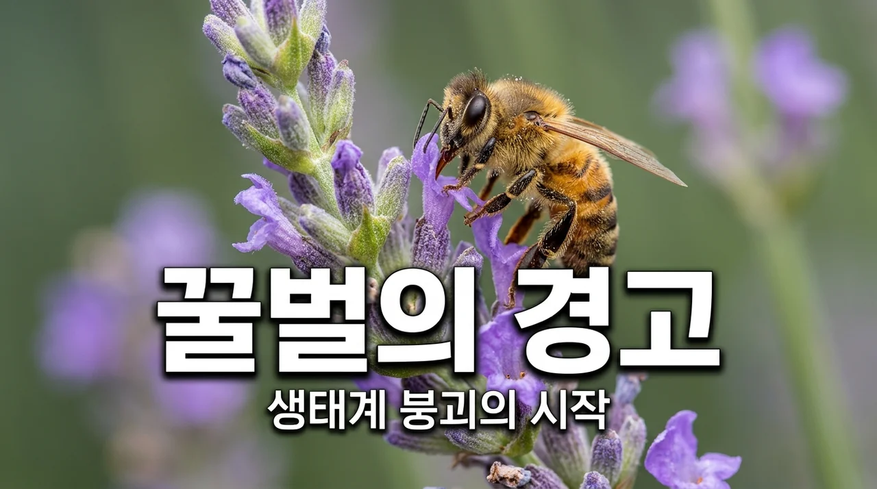 꿀벌이 사라지면 어떤 일이 생길까? 우리 밥상이 위험한 진짜 이유