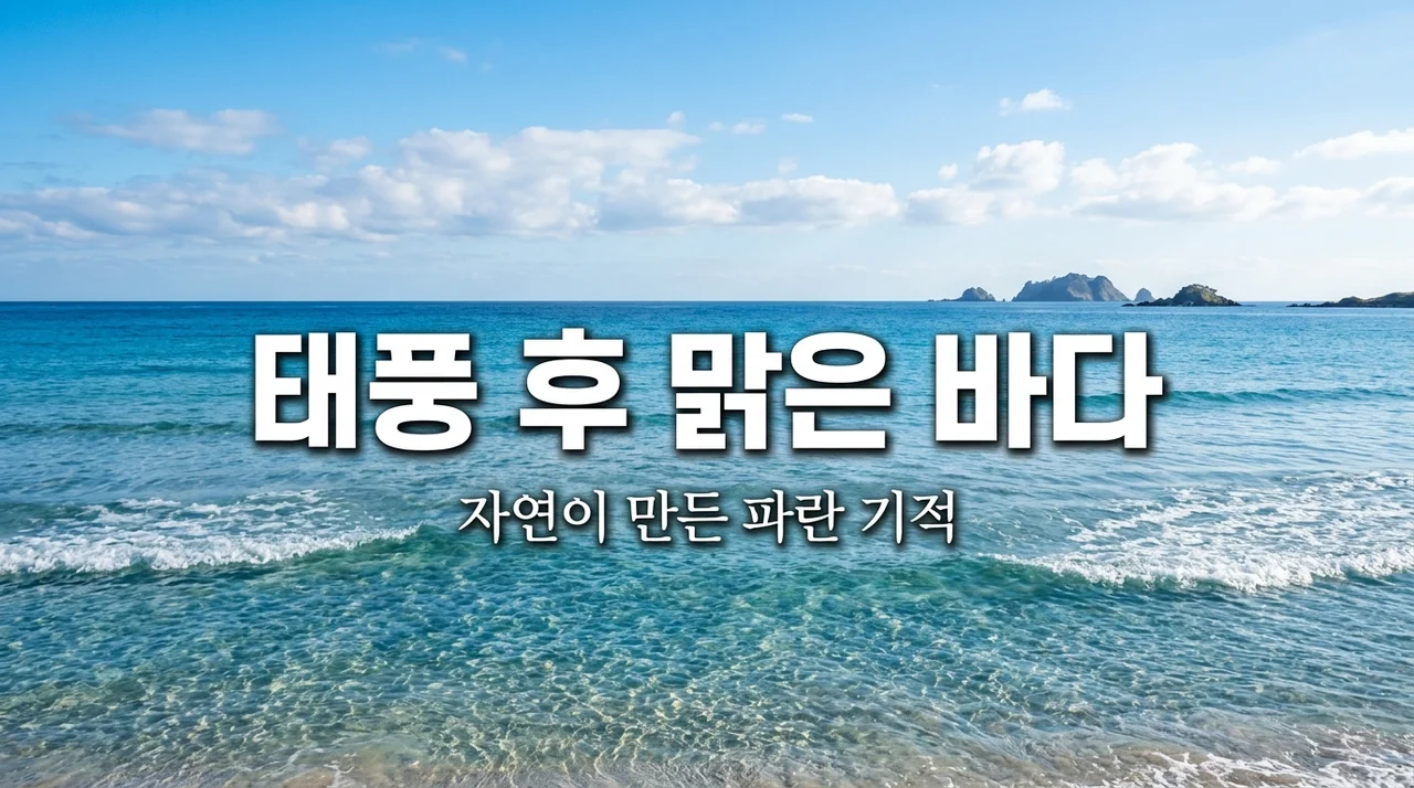 태풍이 지나간 뒤 바다가 유독 맑아지는 놀라운 과학적 이유