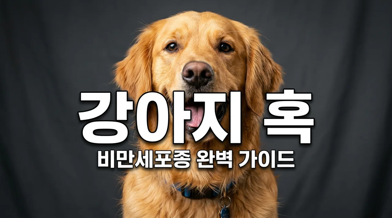 강아지 비만세포종 증상과 치료법, 단순 지방종과의 차이 완벽 가이드